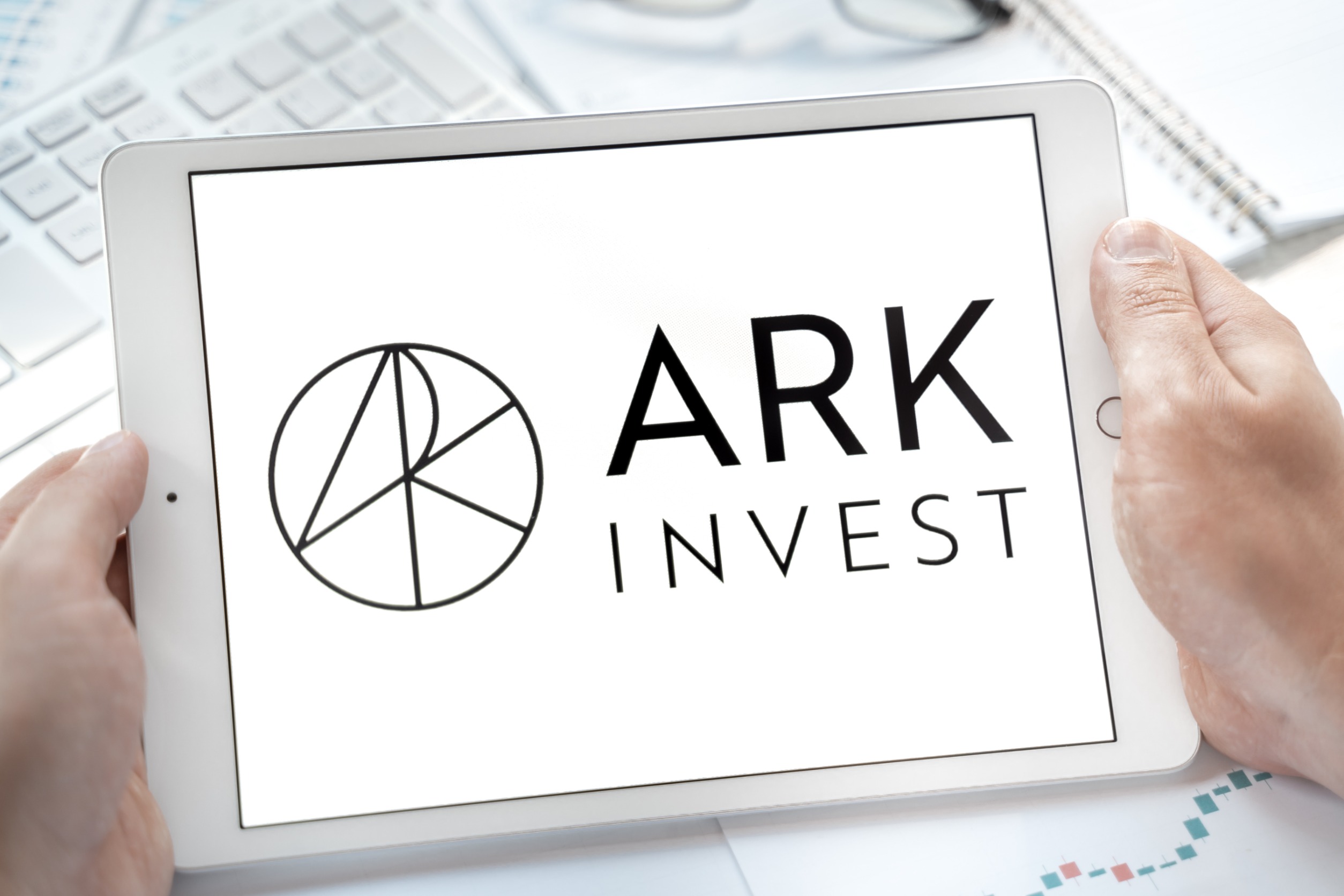 ark_inv177041950_m.jpg