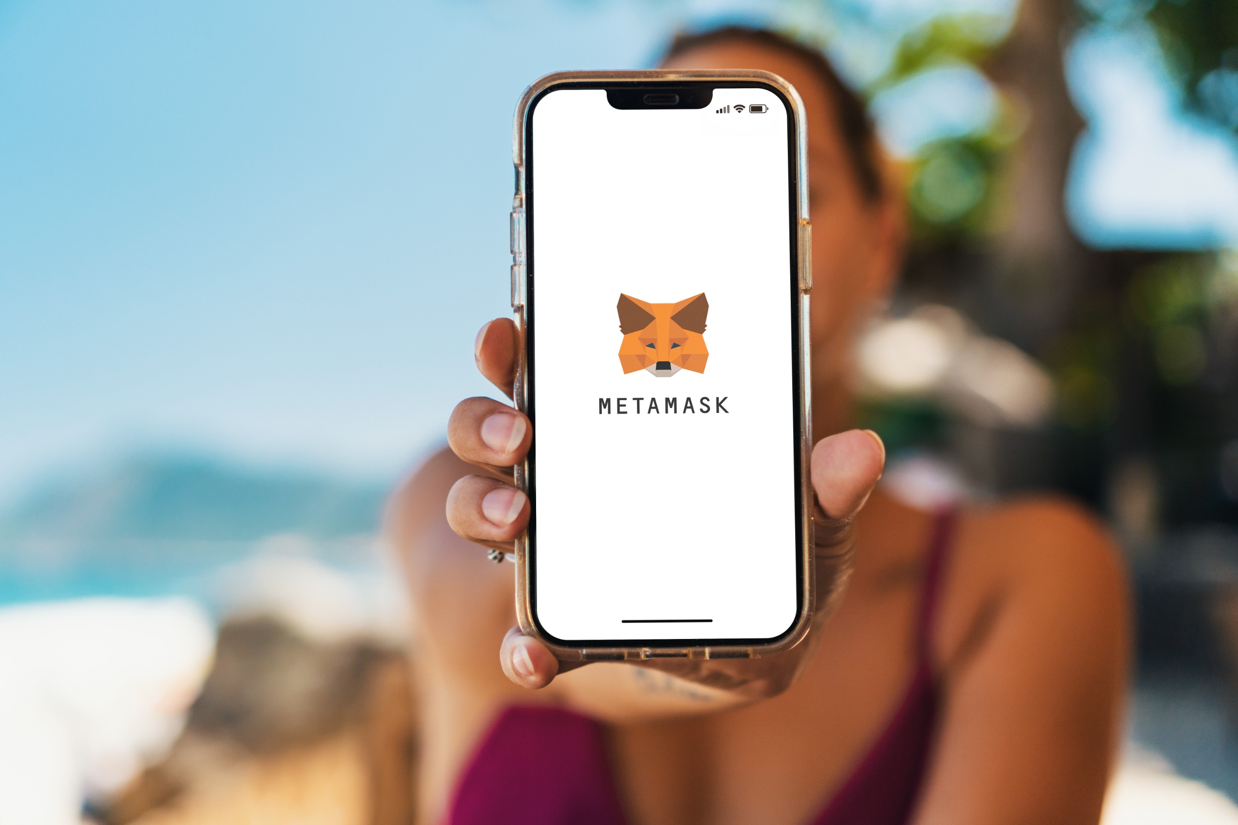 metamask_188802718_m_normal_none.jpg